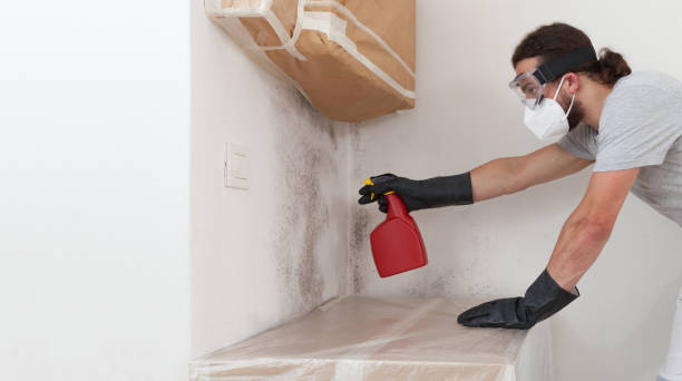 Professional Mold Removal technician working in Kewadin, MI
